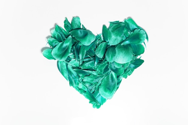 Close-up of flower petals in shape of heart, aqua menthe of color, isolated on white background.