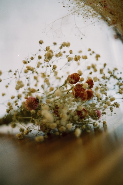 Foto close-up di un fiore sul tavolo a casa