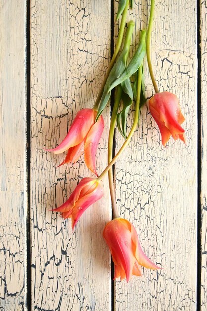 Foto prossimo piano di un fiore sul tavolo