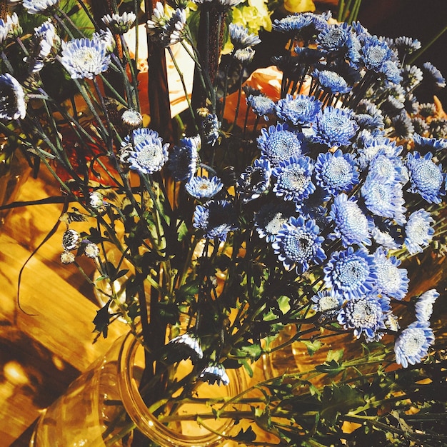 Photo close-up of flower tree