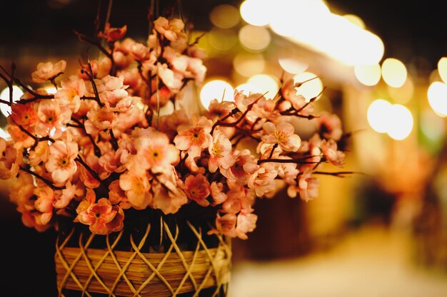 Close-up of flower tree