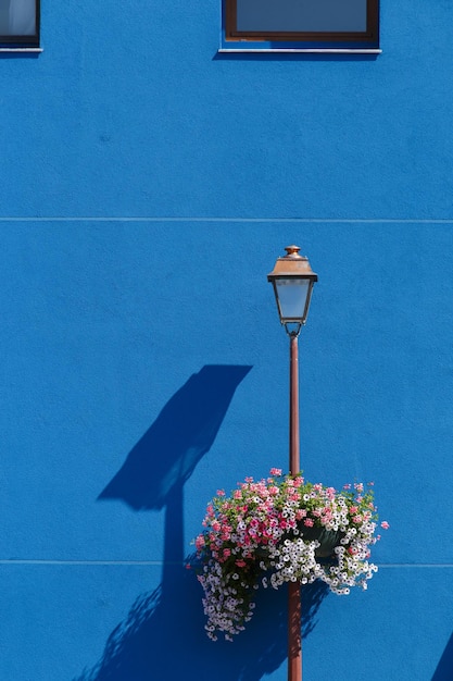 Foto close-up di un vaso di fiori contro la parete blu