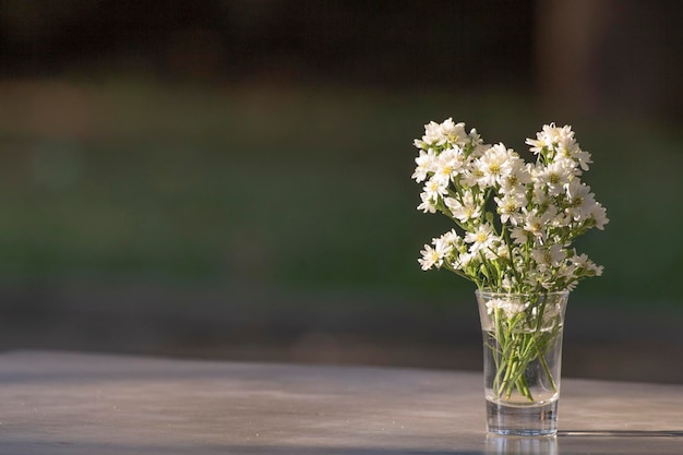 Photo close-up of flower vase on table