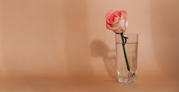 Photo close-up of flower vase