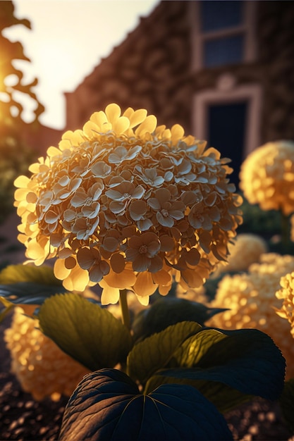 Close up of a flower with a building in the background generative ai