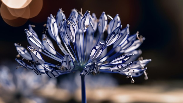 Photo a close up of a flower with the word love on it