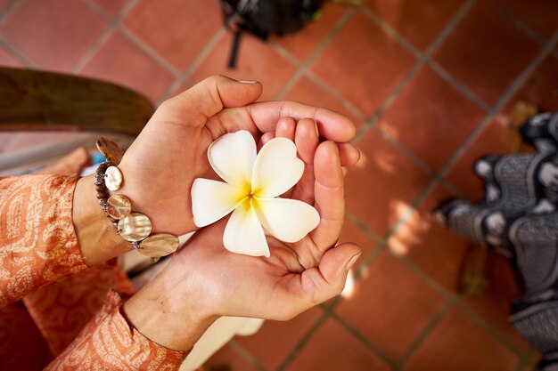 Photo close-up of flower