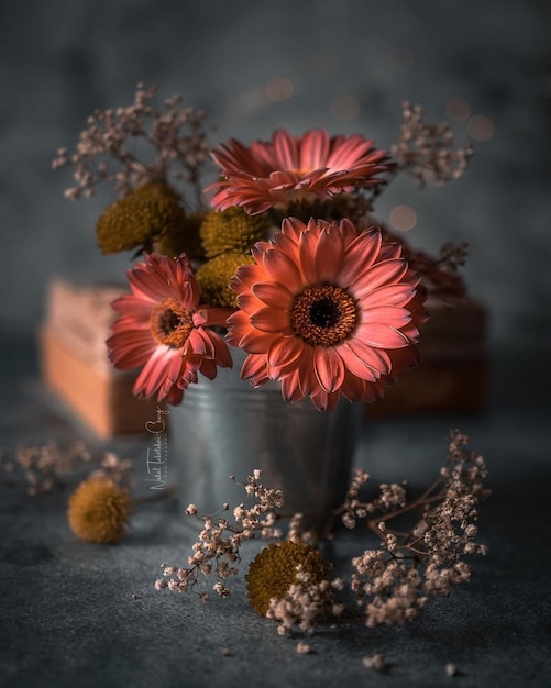 Photo close-up of flowering plants on table