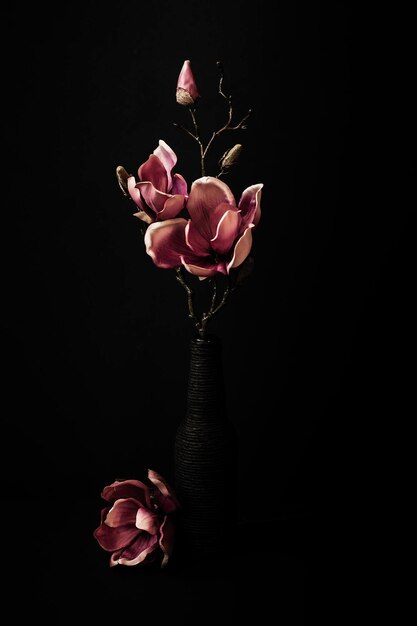 Photo close-up of flowers against black background