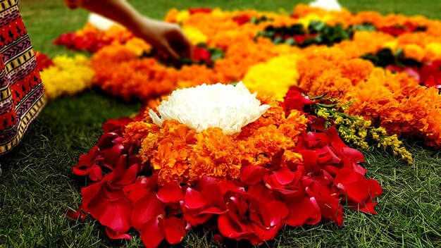 Photo close-up of flowers against blurred background