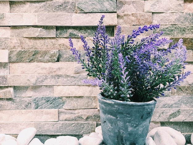 Foto close-up di fiori contro la struttura costruita