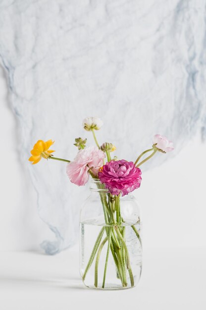 Close-up of flowers against white wall