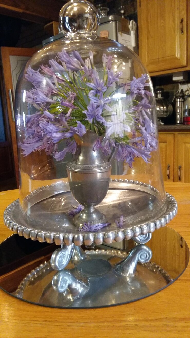 Photo close-up of flowers in bell-jar at table