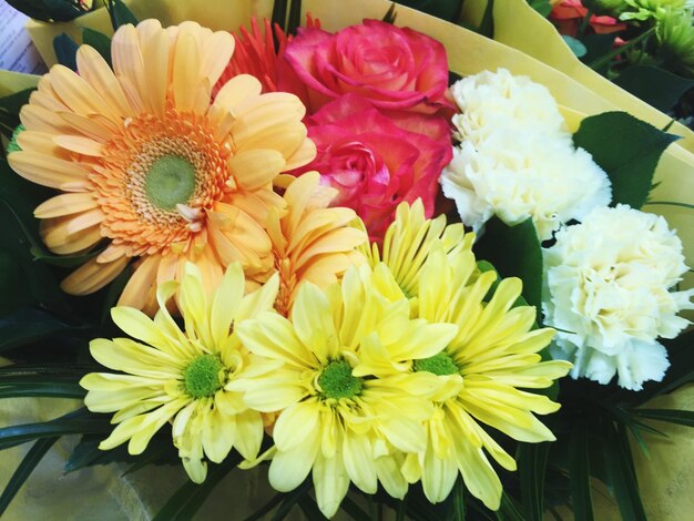 Close-up of flowers blooming indoors