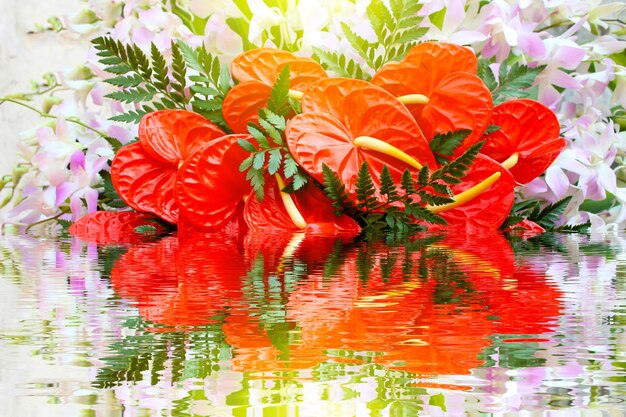 Close-up of flowers blooming in water