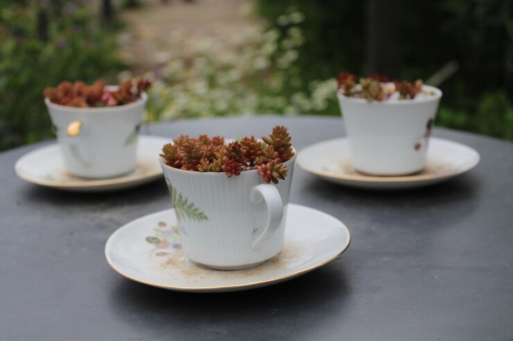 Photo close-up of flowers in cup on table