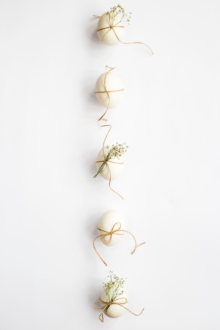 Photo close-up of flowers and eggs on white background