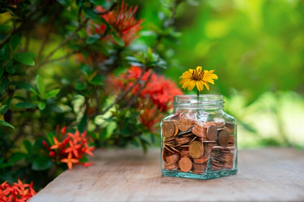 Close-up of flowers in glass jar on table