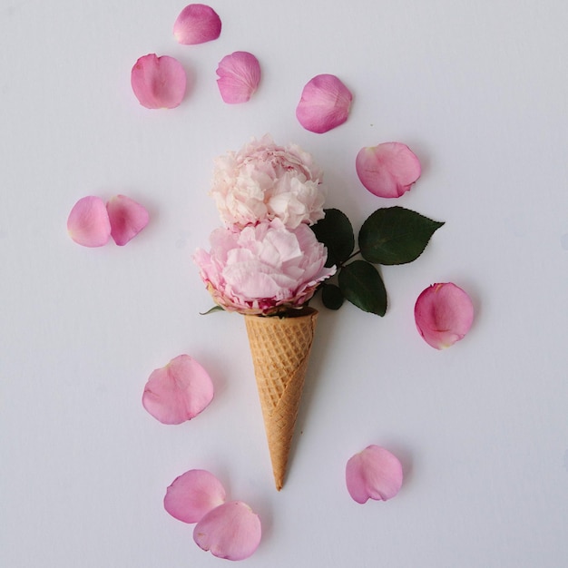 白い背景のアイスクリームコンの花のクローズアップ