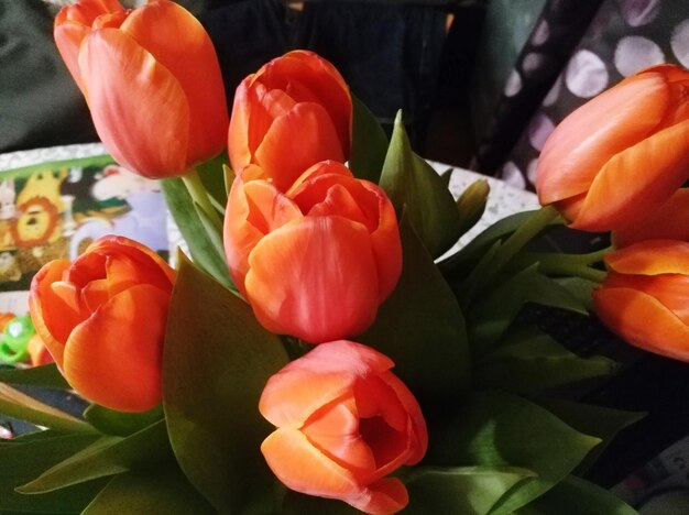 Close-up of flowers and leaves