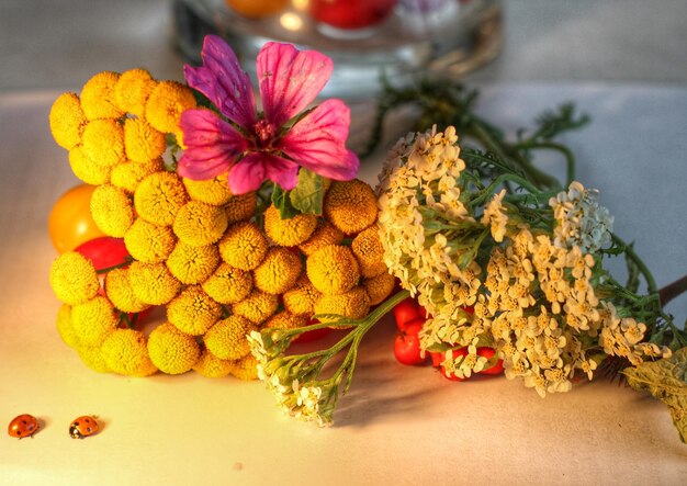 Close-up of flowers and leaves