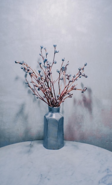 Close-up of flowers in vase on table against wall