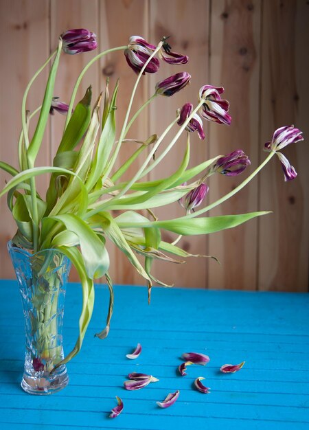 Close-up of flowers in vase on table