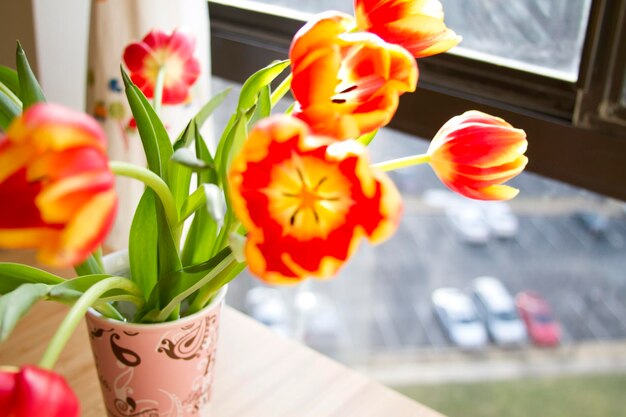 Close-up of flowers in vase on window sill