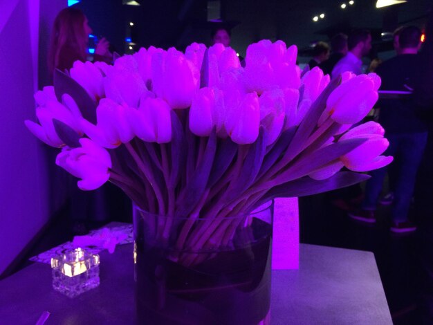 Close-up of flowers in vase