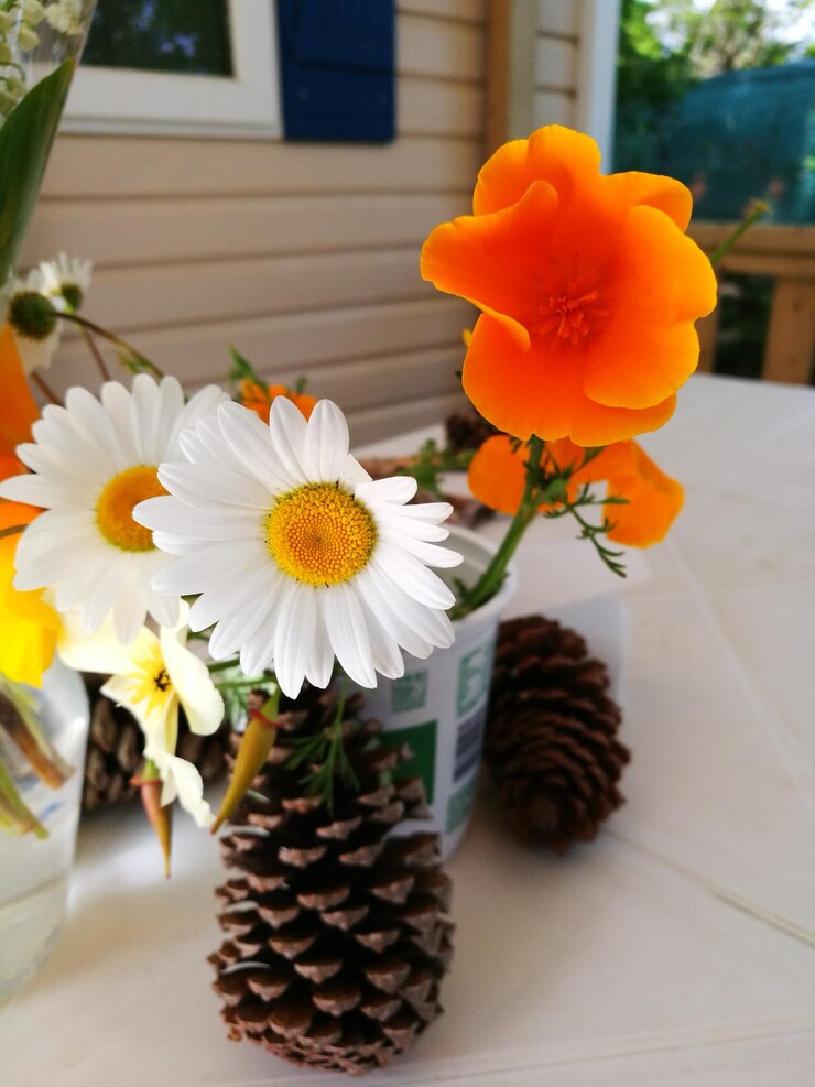 Photo close-up of flowers