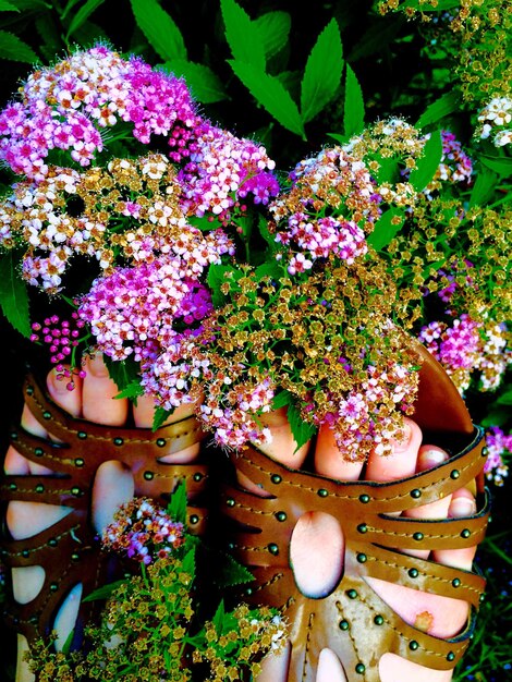 Close-up of flowers