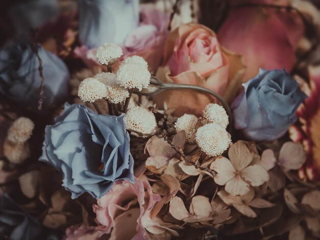 Photo close-up of flowers