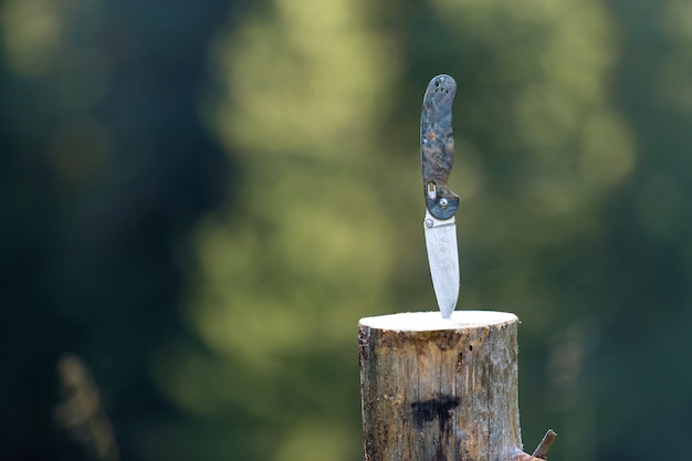 Close-up of folding pocket knife with plastic handle stuck vertically in tree stump outdoors