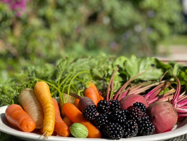 Close-up of food autumn harvest vegoplate