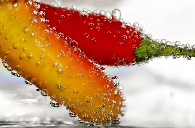 Foto prossimo piano del cibo e delle bolle d'acqua