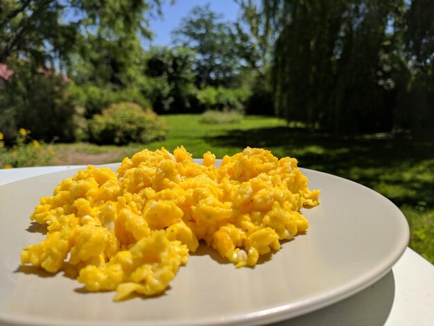 Foto close-up del cibo nel piatto sul prato in una giornata di sole