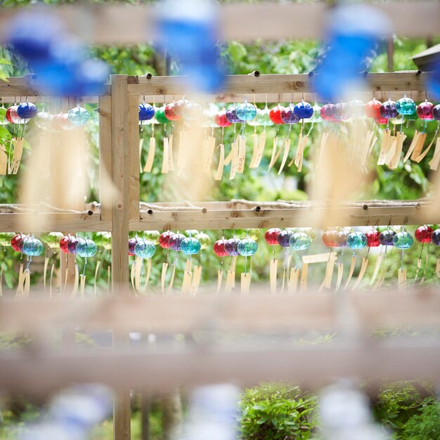 Foto prossimo piano di alimenti in fila