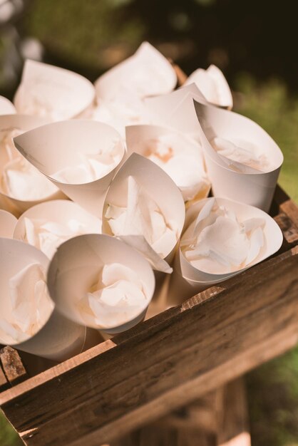 Photo close-up of food