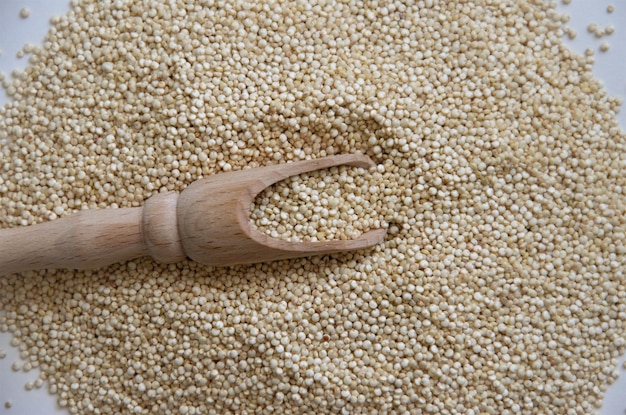 close-up of food