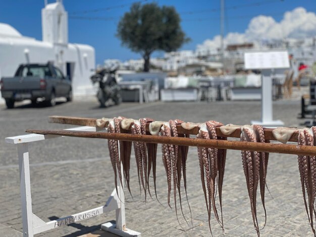 Foto prossimo piano del cibo