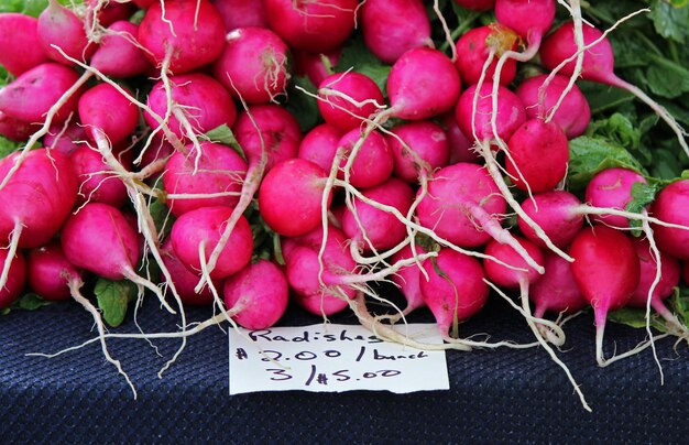 Close-up of food