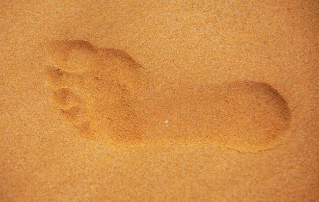 Close up foot steps on beach in sandy