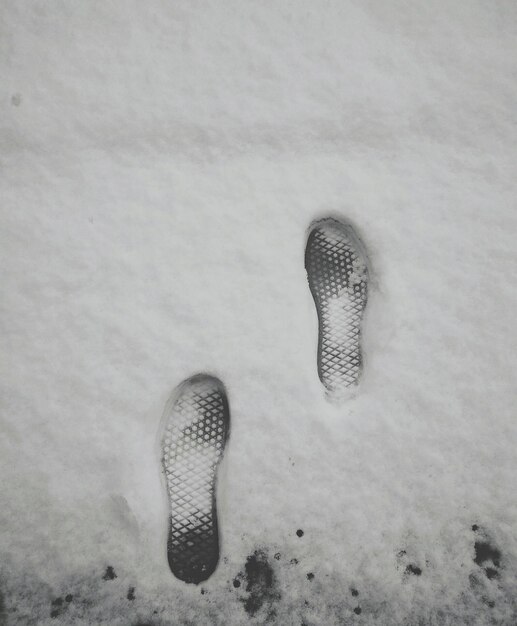 Foto prossimità di impronte nella neve