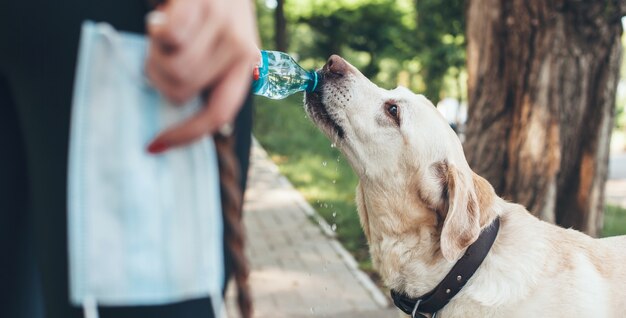 Close-up foto van een blanke persoon die tijdens een wandeling in het park water uit een fles geeft aan zijn hond van zuiver ras