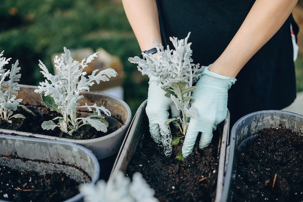 Close-up foto van een blanke vrouw die bloemen oppot met handschoenen aan in de achtertuin