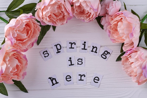 Close up frame of pink peony flowers with inscription spring is here