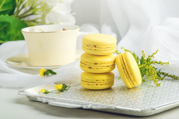 Close up of french delicate macaroons