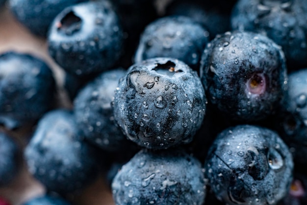 Close up of fresh blueberry with water drops on its