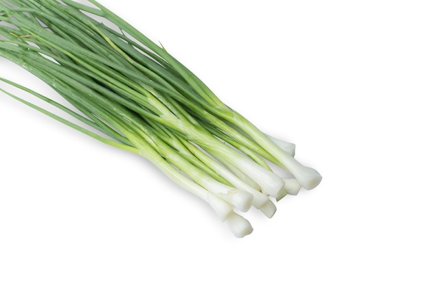 Close up on fresh bunch of green onions or scallions