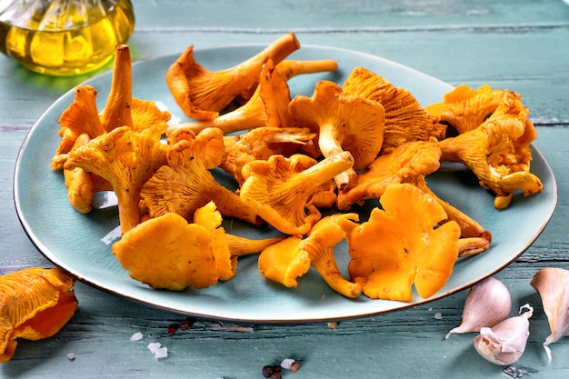 Close up of fresh chanterelle mashrooms